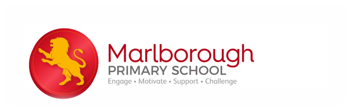 Early Career Teacher (ECT)